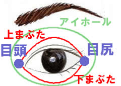 眉